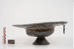 Foto von Bronzebreitrandfußschale (NHMW-PRAE-025274)